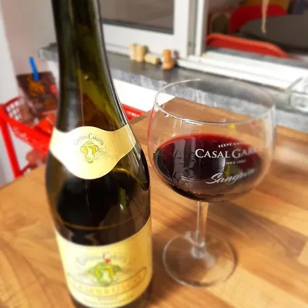 Auberge de jeunesse Alameda *