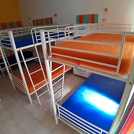 Alameda Albergue *