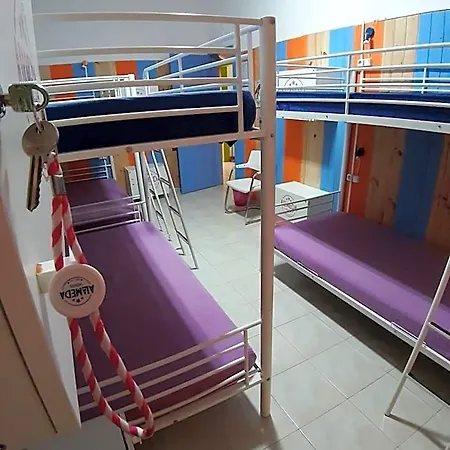 Alameda Hostal *