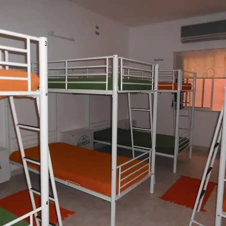 Alameda Albergue *