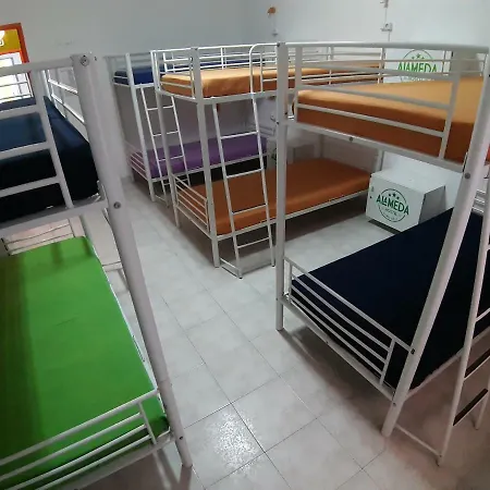 Alameda אכסניה *